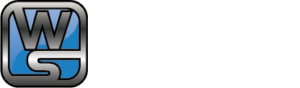Wize Solutions Logo